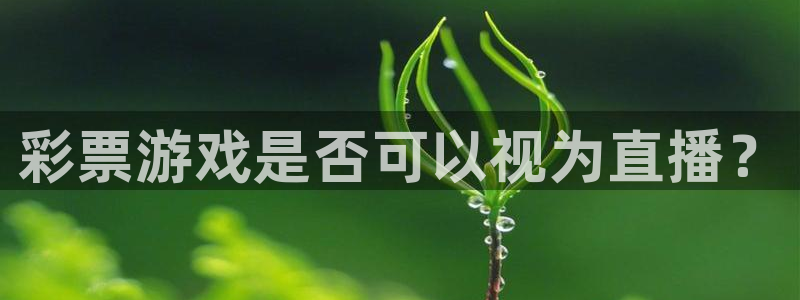 彩票游戏是否可以视为直播？