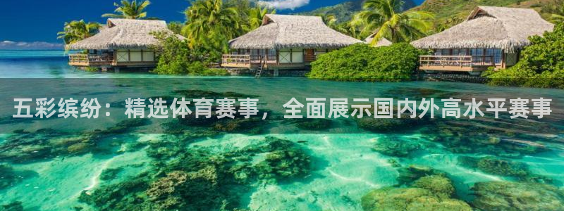 五彩缤纷：精选体育赛事，全面展示国内外高水平赛事