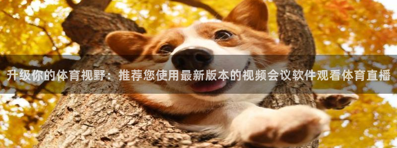 升级你的体育视野：推荐您使用最新版本的视频会议软件观看体育直播