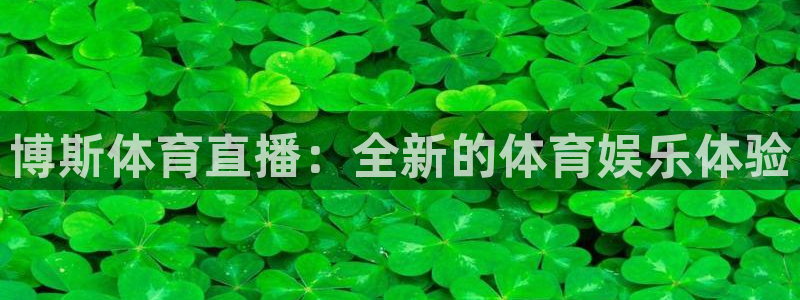 博斯体育直播：全新的体育娱乐体验