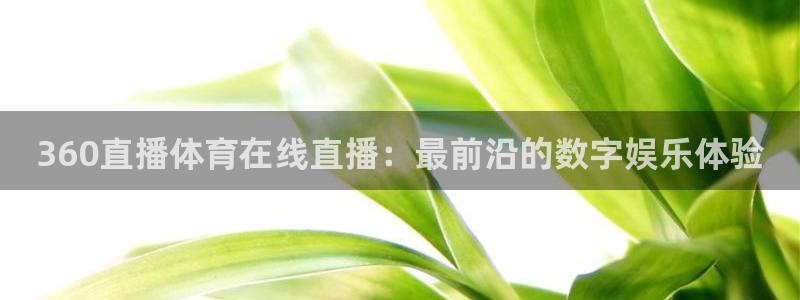 360直播体育在线直播：最前沿的数字娱乐体验