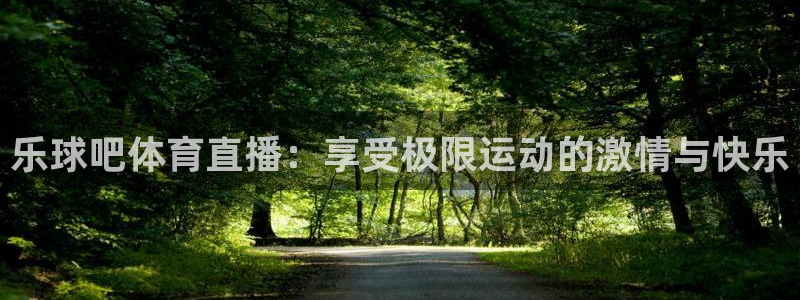 乐球吧体育直播：享受极限运动的激情与快乐