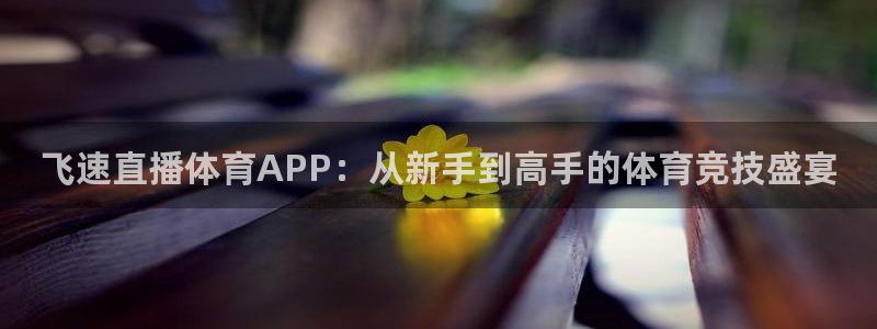 飞速直播体育APP：从新手到高手的体育竞技盛宴