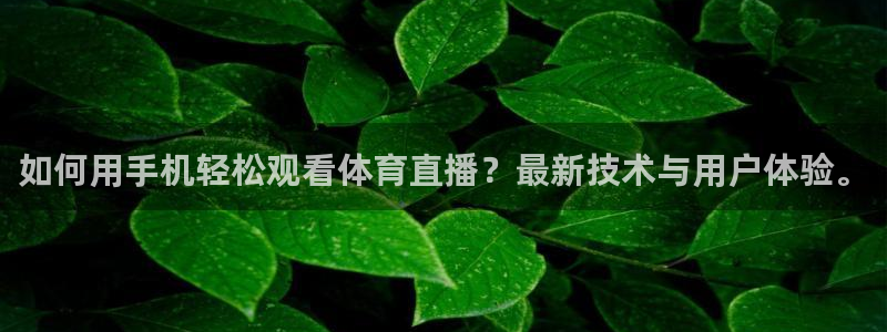 如何用手机轻松观看体育直播？最新技术与用户体验。