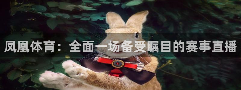 凤凰体育：全面一场备受瞩目的赛事直播