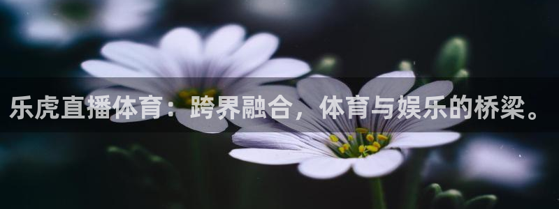 乐虎直播体育：跨界融合，体育与娱乐的桥梁。