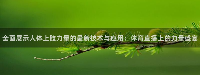 全面展示人体上肢力量的最新技术与应用：体育直播上的力量盛宴
