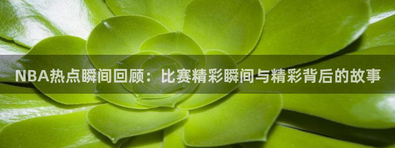 NBA热点瞬间回顾：比赛精彩瞬间与精彩背后的故事