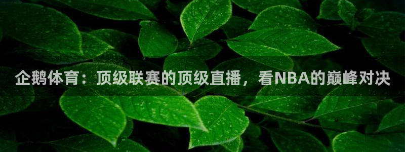 企鹅体育：顶级联赛的顶级直播，看NBA的巅峰对决