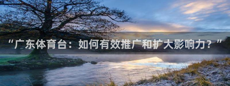 “广东体育台：如何有效推广和扩大影响力？”