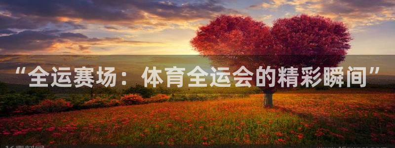 “全运赛场：体育全运会的精彩瞬间”