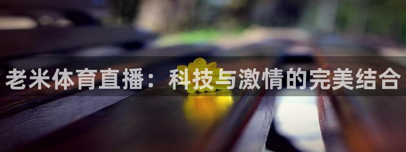 老米体育直播：科技与激情的完美结合