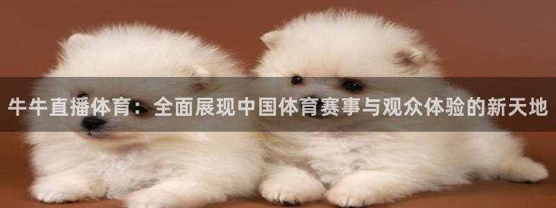 牛牛直播体育：全面展现中国体育赛事与观众体验的新天地