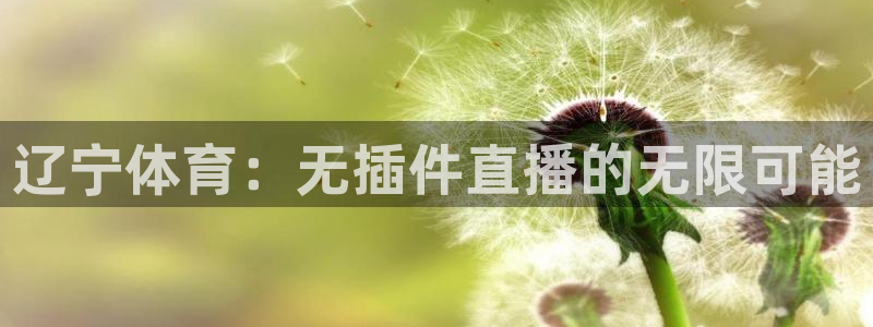 辽宁体育：无插件直播的无限可能
