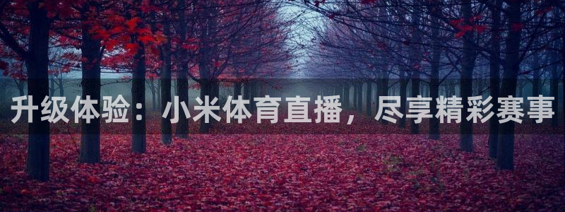 升级体验：小米体育直播，尽享精彩赛事